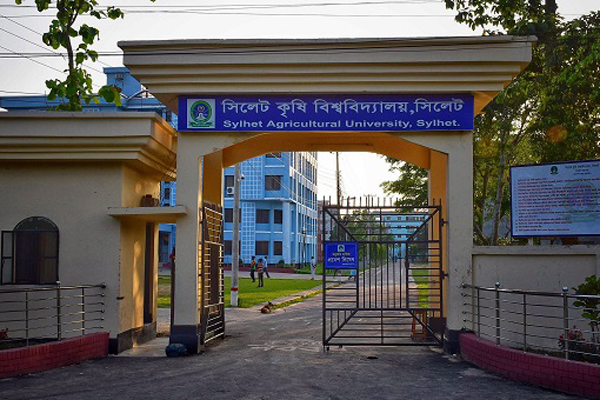সিকৃবির ভিসি&rsquo;র দৌঁড়ে ১১ শিক্ষক