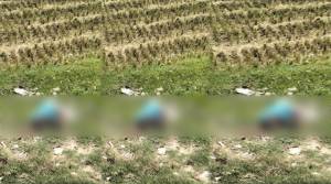 সিলেট-ঢাকা মহাসড়কের অজ্ঞাত বৃদ্ধের লা শ উদ্ধার