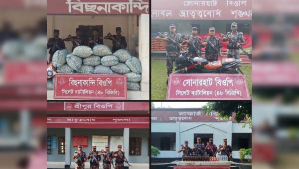 সিলেট সীমান্তে ২৬ লাখ টাকার চোরাচালানি পণ্য জব্দ