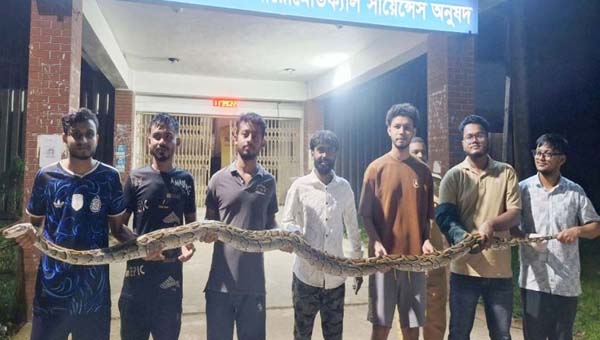 রাস্তা পার হতে গিয়ে ধরা পড়ল ১২ ফুটের অজগর, পরে বনে অবমুক্ত