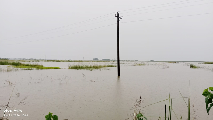 আকস্মিক পাহাড়ি ঢলে গোয়াইনঘাটের নিম্নাঞ্চল প্লাবিত, ক্ষতিগ্রস্ত পর্যটন ব্যবসায়ীরা