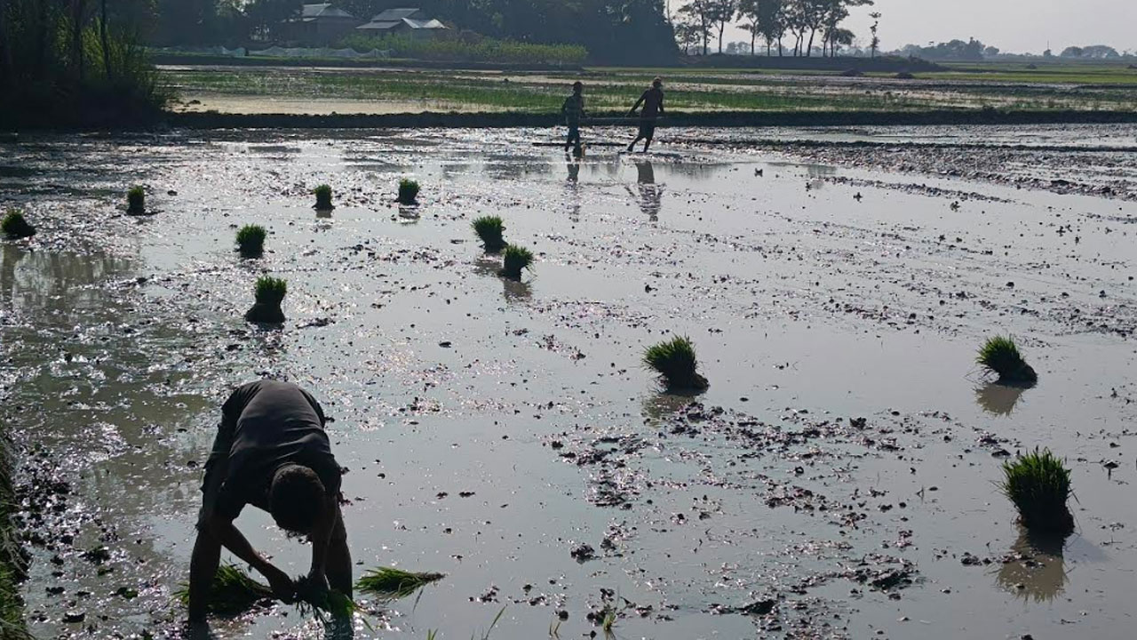 তাহিরপুরে পিআইসি গঠনে অনিয়ম