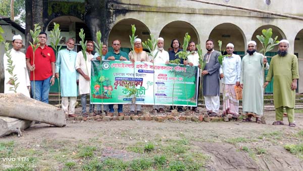 নন্দিরগাঁওয়ে তিন মাদ্রাসায় প্রবাসী সমাজ কল্যাণ পরিষদের বৃক্ষরোপণ