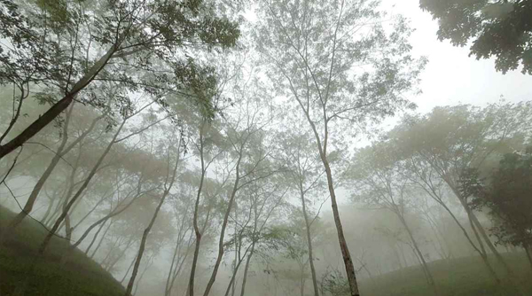 চায়ের রাজ্য শ্রীমঙ্গলে দেশের সর্বনিম্ন তাপমাত্রা