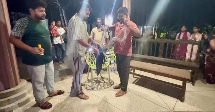 শ্রীমঙ্গলে বাসা থেকে অজগর উদ্ধার