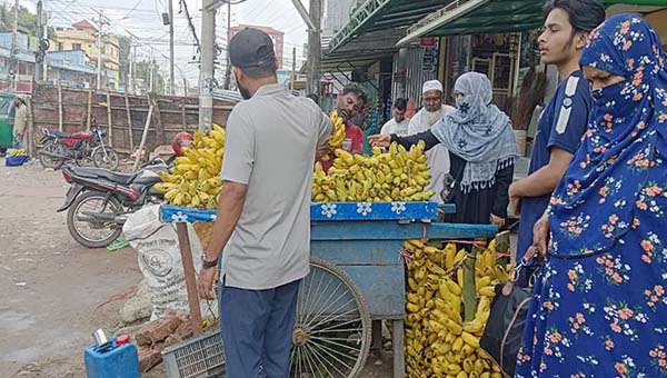 সিলেটে কলার সরবরাহ বাড়লেও কমছে না দাম