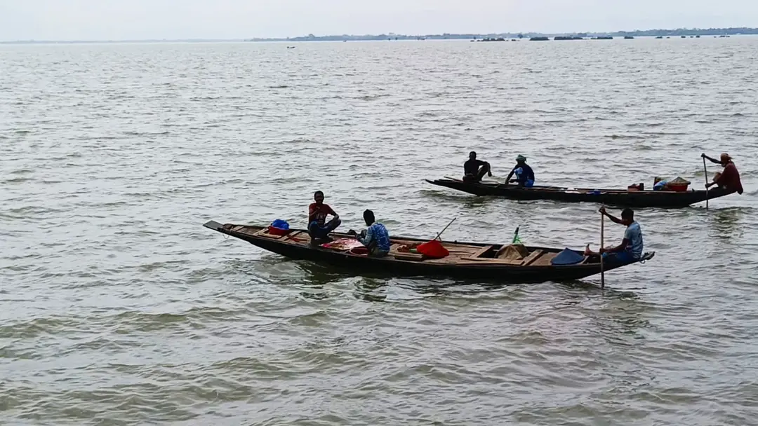 টাঙ্গুয়ার হাওরের অভয়াশ্রমে &lsquo;৪০০ টাকায়&rsquo; ধরা হচ্ছে মাছ