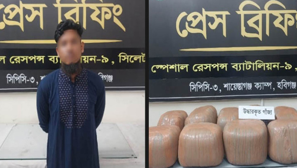 শায়েস্তাগঞ্জে ৫৫ কেজি গাঁজাসহ আটক ১, পিকআপ জব্দ
