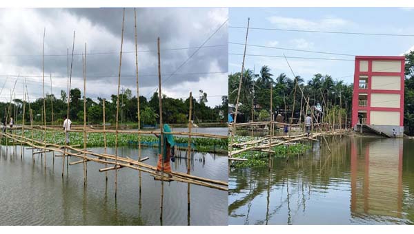 পাকা সড়ক নেই, বাঁশের সাঁকোই ভরসা পেরুয়া-মধুপুরের মানুষের
