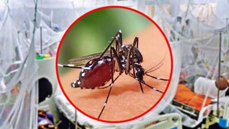 সিলেটে আবারও বাড়ছে ডেঙ্গুর প্রকোপ