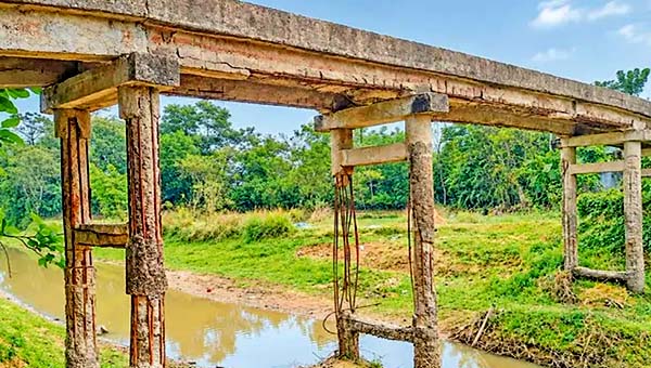 খসে পড়ছে ঢালাই: ঝুঁকিতে মাধবপুরের পুরোনো সেতু