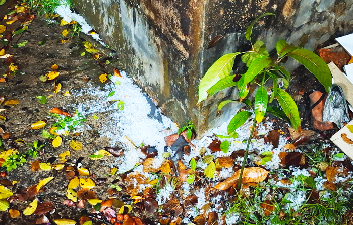সিলেটে বৃষ্টিবলয় &lsquo;গোধূলি&rsquo;র প্রভাবে বজ্রসহ শিলাবৃষ্টি