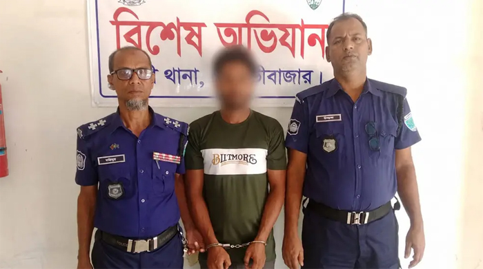 কুড়ালের আঘাতে বাবাকে হত্যার ঘটনায় প্রবাসী ছেলে গ্রেপ্তার