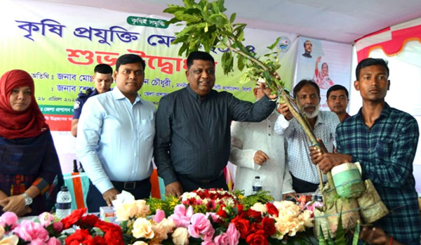 শায়েস্তাগঞ্জে অবৈধভাবে মাটি কাটার দায়ে জরিমানা