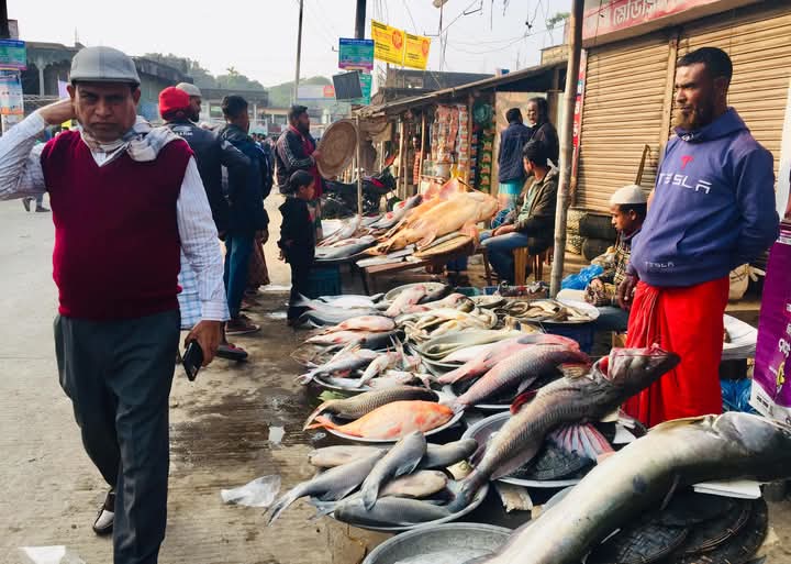 বিশ্বনাথে ঐতিহ্যবাহী মাছ মেলায় দর্শনার্থীদের ভিড়