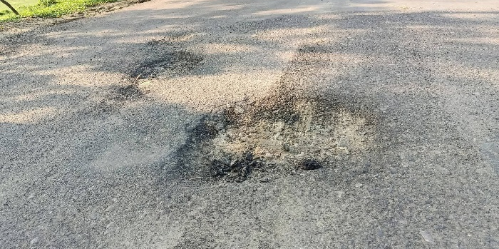 রাস্তার কাজ শেষ না হতেই উঠে যাচ্ছে কার্পেটিং