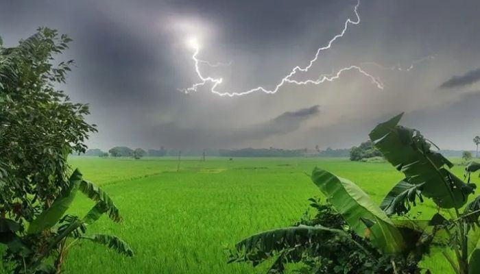 হাওরাঞ্চলে &lsquo;মাল্টিপারপাস শেড&rsquo; নির্মাণের পরিকল্পনা