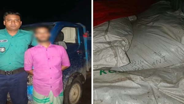 সিলেটে ৯০০ কেজি ভারতীয় চা-পাতার গুঁড়াসহ যুবক আটক