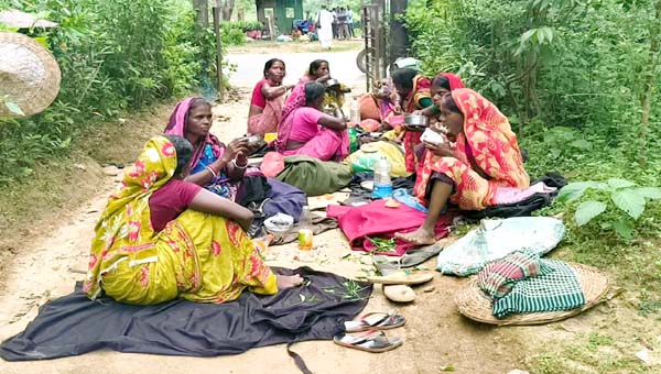 সবুজ পাতার আড়ালে চা শ্রমিকের দুপুরের খাবার &lsquo;পাতিচখা&rsquo;