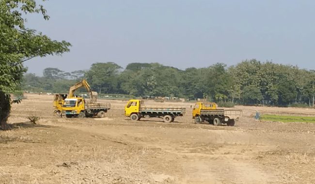 রাজনগরে অবাধে বিক্রি হচ্ছে আবাদি জমির মাটি