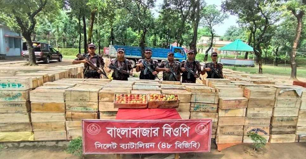 সুনামগঞ্জে বিজিবি&rsquo;র অভিযানে সাড়ে ৬৩ লক্ষ টাকার ভারতীয় আপেল জব্দ