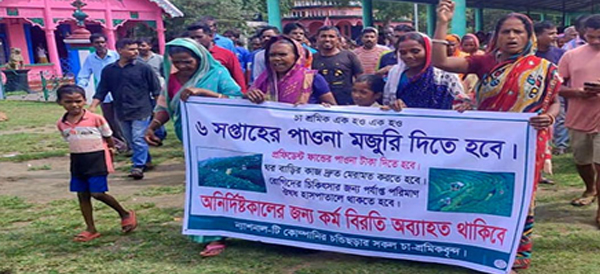 ছয় দিন ধরে এনটিসির ১২ চা বাগানে চলছে শ্রমিক ধর্মঘট