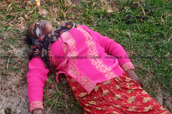 মাধবপুরে তিন সন্তানের জননী লাশ উদ্ধার&nbsp;