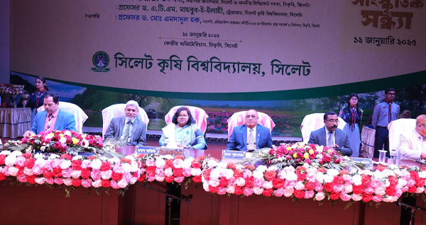বিশ্ববিদ্যালয় ক্যাম্পাস সমূহ র&zwnj;্যাগিং ও মাদক মুক্ত রাখতে হবে: প্রফেসর ড. মাছুমা হাবিব