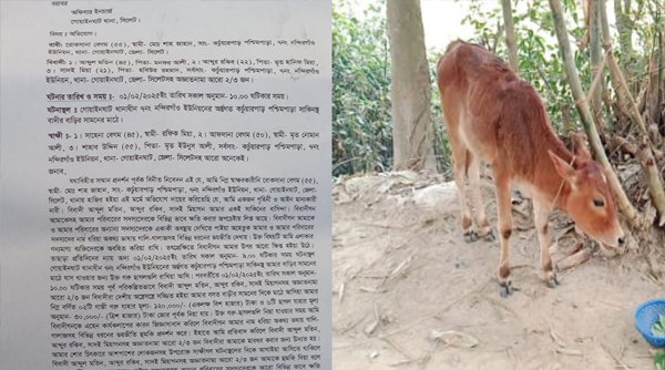 গোয়াইনঘাটে জোর করে গৃহিনীর গবাদিপশু ও ছাগল নেওয়ার অভিযোগ 