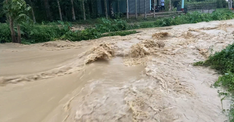 'তারা ডাইক কেটে দেয়ায় আমাদের সর্বনাশ হয়েছে'