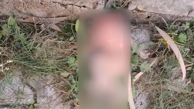 জৈন্তাপুরে নবজাতকের মস্তকবিহীন লা শ উদ্ধার