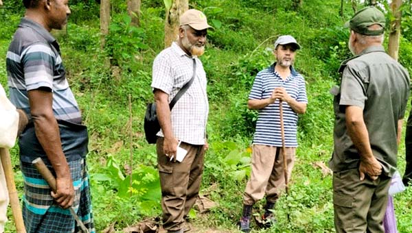 পুটিজুরী বন বিট পরিদর্শনে ডিএফও, চারা রোপণ ও গাছ আহরণে নির্দেশনা
