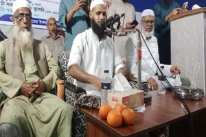 চার কমলার দাম ৫০ হাজার টাকা, কিনলেন যুক্তরাষ্ট্রপ্রবাসী