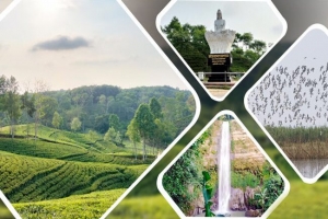  মৌলভীবাজারে জৌলুস হারাচ্ছে পর্যটন স্পট