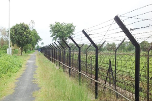 মৌলভীবাজার সীমান্তে ১০ জনকে পুশইন, রাতেই ফের ভারতে পাঠাল বিজিবি