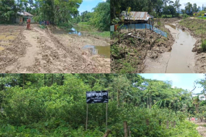 খাল খননের অনিয়মে বিপাকে দিগারাইলবাসী খাল খননের অনিয়মে বিপাকে দিগারাইলবাসী