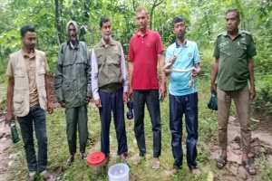 সাতছড়ি জাতীয় উদ্যানে দুই বিষধর সাপ অবমুক্ত সাতছড়ি জাতীয় উদ্যানে দুই বিষধর সাপ অবমুক্ত