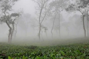 শ্রীমঙ্গলে টানা তিন দিন থেকে দেশের সর্বনিম্ন তাপমাত্রা