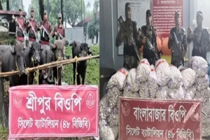 সিলেট ও সুনামগঞ্জ সীমান্তে ভারতীয় মহিষসহ চোরাই মালামাল জব্দ