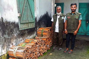 সাতছড়িতে অবৈধ কাঠের ২০ বান্ডিল জব্দ