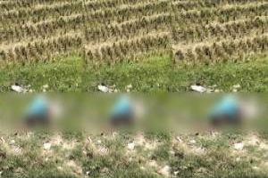 সিলেট-ঢাকা মহাসড়কের অজ্ঞাত বৃদ্ধের লা শ উদ্ধার