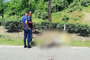 চুনারুঘাটে নিয়ন্ত্রণ হারিয়ে সিএনজি খাদে, ব্যবসায়ী নিহত