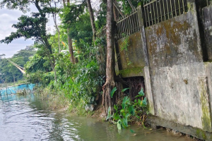 মূল ভবনে ফাটল, নদীগর্ভে বিলীনের পথে জেলা পরিষদ ডাকবাংলো