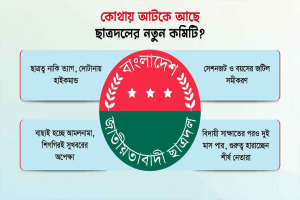 কোথায় আটকে আছে ছাত্রদলের নতুন কমিটি?