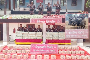 সিলেট সীমান্তে ৫ কোটি টাকার চোরাই পণ্য জব্দ