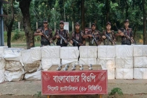 ভারতে পাচারকালে সুনামগঞ্জ সীমান্তে ২২ লাখ টাকার ইলিশ জব্দ