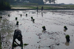 তাহিরপুরে পিআইসি গঠনে অনিয়ম