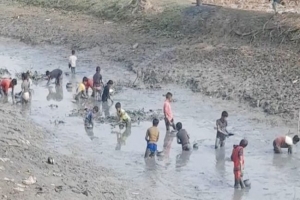 মধ্যনগরে জলাশয় শুকিয়ে অবাদে চলবে মৎস নিধন