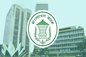 ফেব্রুয়ারির প্রথম ১৬ দিনে এল ১৮০ কোটি ডলারের রেমিট্যান্স, রিজার্ভ ছাড়াল ৩৪.৫ বিলিয়ন