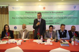সিলেটে কীটনাশক ডিলারদের নেটওয়ার্কিং  বিষয়ক আঞ্চলিক কর্মশালা